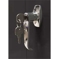 Storage Cabinet, Steel, 4 Shelves, 66" H x 30" W x 15" D, Black Groupe Belzile Dickner