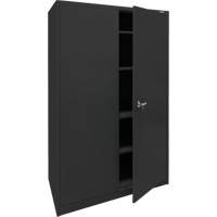 Armoire d'entreposage, Acier, 4 Tablettes, 78" h x 48" la x 24" P, Noir Groupe Belzile Dickner