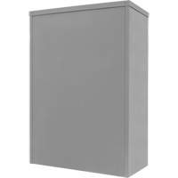 Counter-High Storage Cabinet, Steel, 2 Shelves, 42" H x 30" W x 15" D, Grey Groupe Belzile Dickner