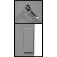 Counter-High Storage Cabinet, Steel, 2 Shelves, 42" H x 30" W x 15" D, Grey Groupe Belzile Dickner