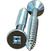 Vis plate SOC pour bois, #10 x 2" lo, Zingu&eacute; Groupe Belzile Dickner