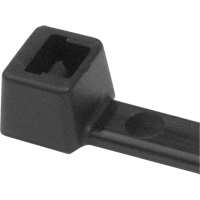 PA66 Cable Ties, 5-1/2" Long, 18 lbs. Tensile Strength, Black Groupe Belzile Dickner