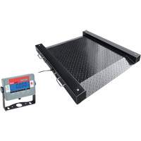 DEFENDER Floor Scale, 1000 lbs. Capacity, 30" L x 30" W Groupe Belzile Dickner