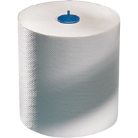 Advanced Roll Towels, 1 Ply, Standard, 700' L Groupe Belzile Dickner