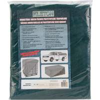 Tarp, Heavy-Duty, Green, 8' x 6' x 9 mils Groupe Belzile Dickner