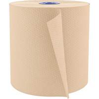 Pro Perform Roll Hand Towels, 1 Ply, Standard, 775' L Groupe Belzile Dickner