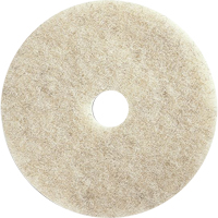 Floor Maintenance Pads, 21", Burnishing, Brown Groupe Belzile Dickner