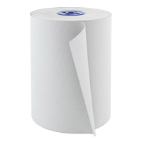 Pro Perform Hand Towel, 1 Ply, Standard, 600' L Groupe Belzile Dickner
