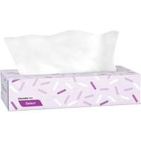 Pro Select Facial Tissue, 2 Ply, 7.3" L x 8.1" W, 100 Sheets/Box Groupe Belzile Dickner