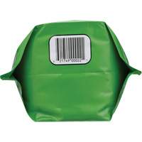 Nettoyant pour les mains biod&eacute;gradable, Poudre, 4,5 lb, Pochette, Sans parfum Groupe Belzile Dickner