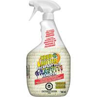 Graffiti Remover Groupe Belzile Dickner