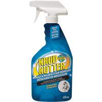 Mold and Mildew Spray, 650 ml, Trigger Bottle Groupe Belzile Dickner