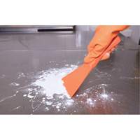 Large Hand Scraper, Pink, 4" W x 10" L Groupe Belzile Dickner