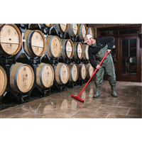 Fixed Head Food Hygiene Floor Squeegee, 20", Green Groupe Belzile Dickner