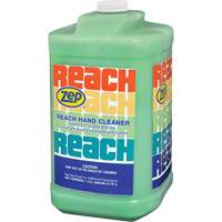 Nettoyant extra puissant pour les mains Reach, Pierre ponce, 3,78 L, Cruche, Parfumé JL659 | Dickner Inc
