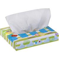 Papiers-mouchoirs pour enfants de Kleenex<sup>MD</sup>, 2 pli, 8,4" lo x 5,5" la, 40 feuilles/boîte JL930 | Dickner Inc