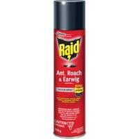 Insecticide contre fourmis, coquerelles et perce-oreilles Raid, 350 g, &agrave; base de solvant Groupe Belzile Dickner