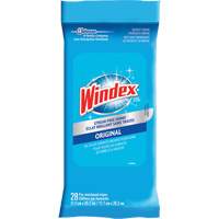 Lingettes nettoyantes pour verre et surfaces de Windex, Sachets Groupe Belzile Dickner