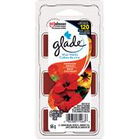 Glade&reg; Air Freshener Melts, Hawaiian Breeze&reg; Groupe Belzile Dickner