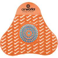 AirWorks&reg; Premier Urinal Screens with Block Groupe Belzile Dickner