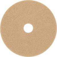 Bande abrasive Trizact Diamond TZ, 20", Brunissage, Beige Groupe Belzile Dickner