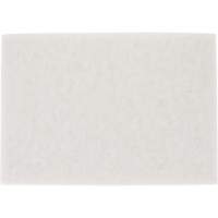 Tampon pour planchers TopLine Speed, 14" x 20", Lustrage/Nettoyage/Polissage, Blanc Groupe Belzile Dickner