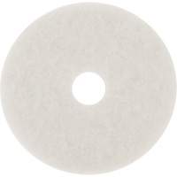 Tampon pour planchers, 10", Lustrage/Nettoyage/Polissage, Blanc Groupe Belzile Dickner