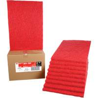 Tampon de nettoyage pour tapis, 14" x 20", Lustrage/Nettoyage, Rouge Groupe Belzile Dickner
