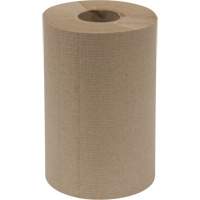 Everest Pro Paper Towel Rolls, 1 Ply, Standard, 300' L Groupe Belzile Dickner