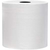 Snow Soft TAD Premium Hand Towel Rolls, 2 Ply, Standard, 700' L Groupe Belzile Dickner