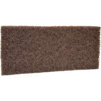 Coarse Scrub Pad, 10" L x 4-1/2" W Groupe Belzile Dickner
