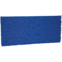 Medium Scrub Pad, 10" L x 4-1/2" W Groupe Belzile Dickner
