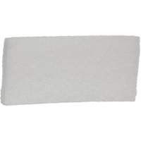 Fine Scrub Pad, 10" L x 4-1/2" W Groupe Belzile Dickner