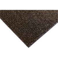 Palliser Indoor Matting, Wiper/Scraper, 3-1/2' x 6' x 5/16", Anglis Groupe Belzile Dickner