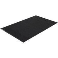 Twin Rib Matting, Wiper/Scraper, 3' x 5' x 1/4", Charcoal Groupe Belzile Dickner