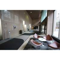Supreme Knob Entrance Matting, Wiper/Scraper, 3-1/2' x 6' x 7/16", Charcoal Groupe Belzile Dickner