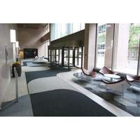 Supreme Knob Entrance Matting, Wiper/Scraper, 3-1/2' x 6' x 7/16", Charcoal Groupe Belzile Dickner