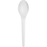 Plantware Renewable and Compostable Spoon Groupe Belzile Dickner
