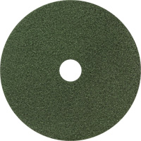 Black Diamond 3000 Floor Pad, 8", Cleaning/Polish, Green Groupe Belzile Dickner