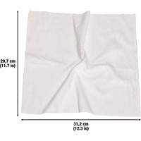 Chiffons lavables pour le nettoyage, Microfibre, Blanc Groupe Belzile Dickner