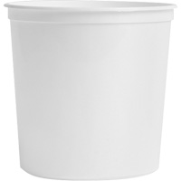 Food Storage Container, Plastic, 2 L Capacity, White Groupe Belzile Dickner