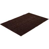 Astro-Turf Scraper Mat Groupe Belzile Dickner