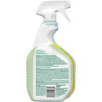 Nettoyant d&eacute;sinfectant CloroxPro Clorox EcoClean, 946 ml, Bouteille &agrave; g&acirc;chette Groupe Belzile Dickner