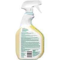 Nettoyant tout usage CloroxPro Clorox EcoClean, 946 ml, Bouteille &agrave; g&acirc;chette Groupe Belzile Dickner