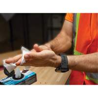 Lingettes nettoyantes emball&eacute;es individuellement, 12 lingettes, 8" x 9-1/2" Groupe Belzile Dickner