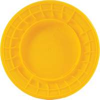 Bac &agrave; d&eacute;chets, Poly&eacute;thyl&egrave;ne, 32 gal. US Groupe Belzile Dickner