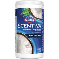 Lingettes d&eacute;sinfectantes, 75 lingettes Groupe Belzile Dickner