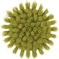 HyDrive Round Drill Brush, Extra Stiff Bristles, 3-1/10" Long, Yellow Groupe Belzile Dickner