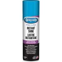 Pro Line Instant Shine for Plastic Surfaces, 11 oz., Aerosol Can Groupe Belzile Dickner