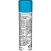 Pro Line Instant Shine for Plastic Surfaces, 11 oz., Aerosol Can Groupe Belzile Dickner